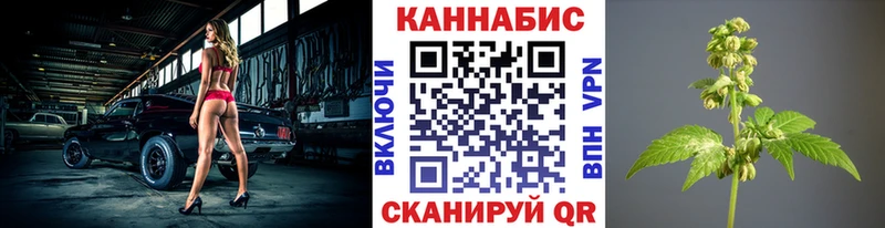 Виды наркоты Бийск ГАШИШ  СК  COCAIN  Меф мяу мяу  Канабис 