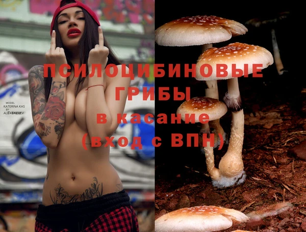 наркотики Алзамай