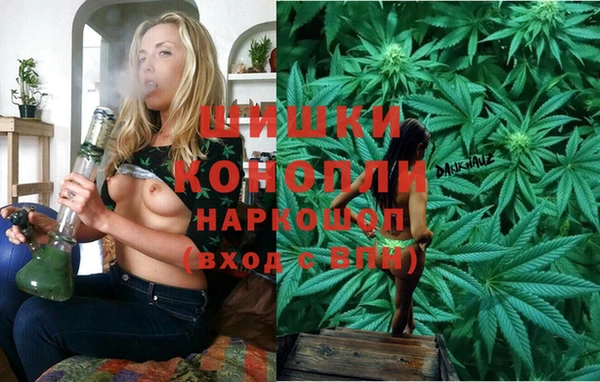 спайс Алексин